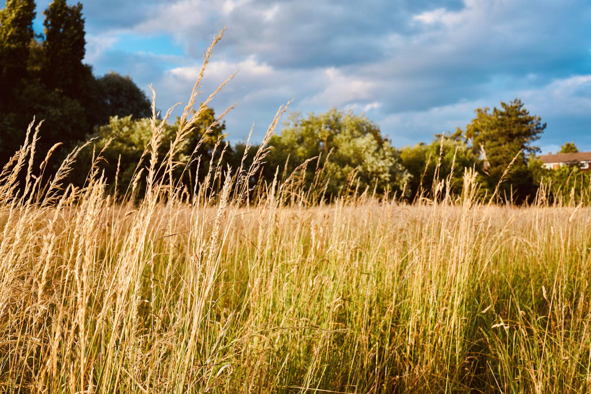 Embracing Seasonal Eating: A Guide to Fresh and Nutritious Choices